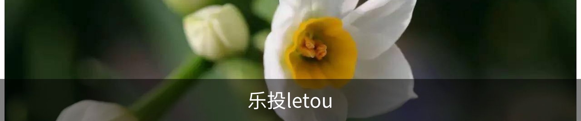letou-乐投(中文)官方网站